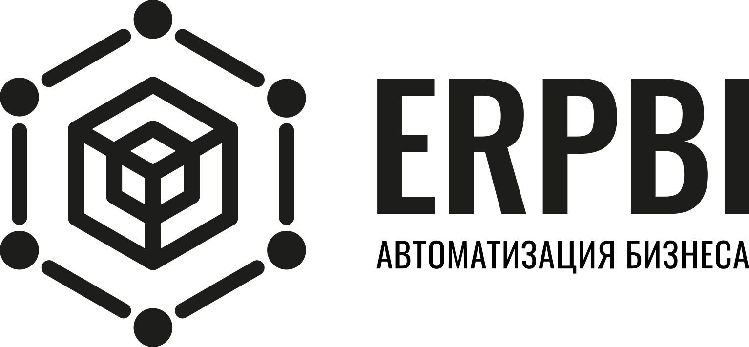 logo_erpbi